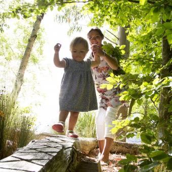 Mother holding hands of toddler balancing on log, surrounded by trees